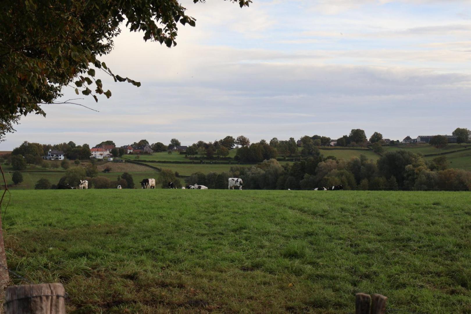 Puur Mechelen Villa Eksteriør bilde
